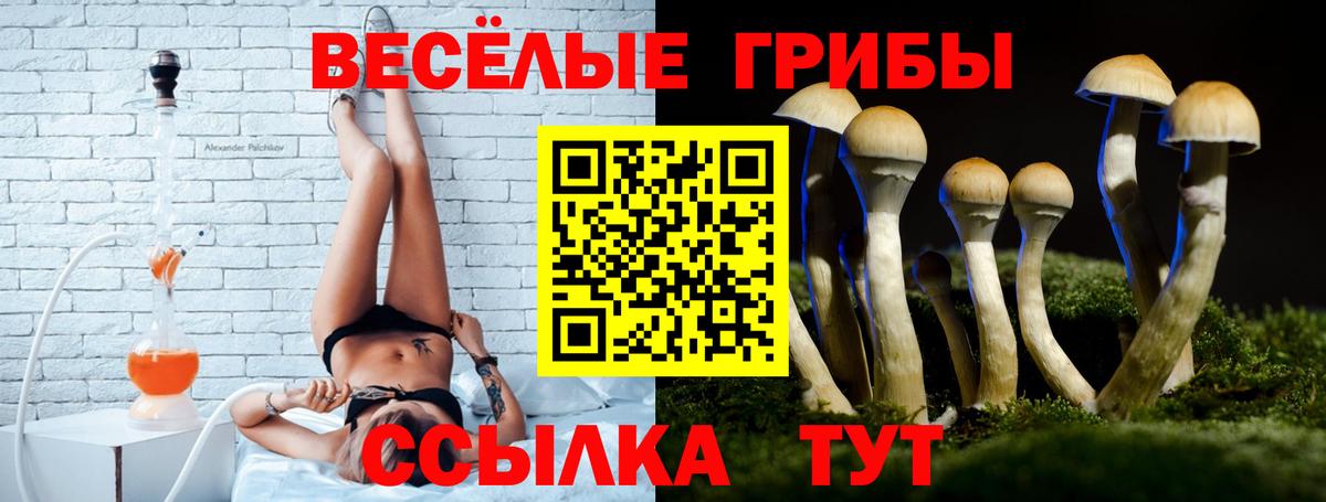 где продают   Галлюциногенные грибы ЛСД  Вход с VPN  Чистополь 
